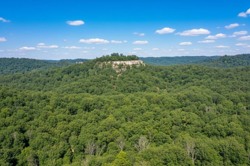 Hero for Home Services Options